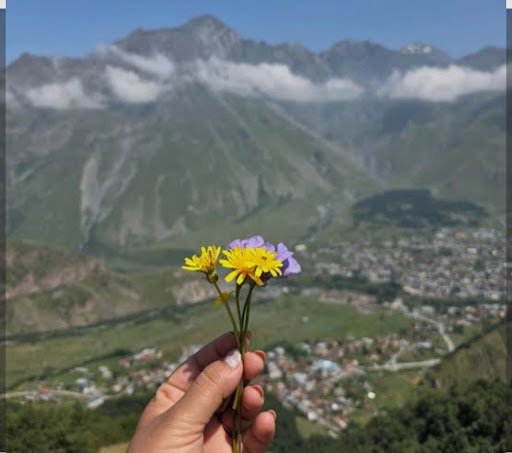 Photo from customer review